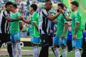 Botafogo vs Chapecoense: Kemenangan Tipis 1-0 Botafogo di Laga Pembuka Copa do Brasil