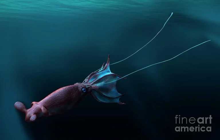 Nanaimoteuthis: Gurita Raksasa Cretaceous 62 Kaki Mengguncang Dunia Paleontologi
