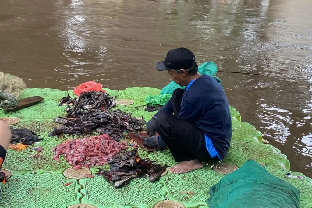 Pemkot Jakarta Selatan Tangkap & Musnahkan Ikan Sapu-sapu Sesuai Saran MUI: Upaya Kontrol Invasif yang Etis