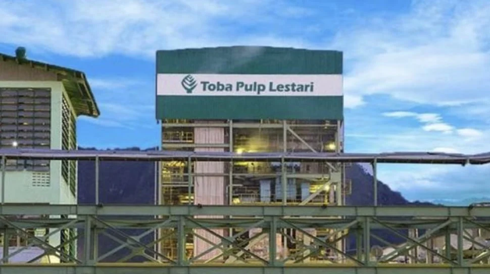 PHK Toba Pulp Lestari: 80% Karyawan Terancam Usai Izin Dicabut