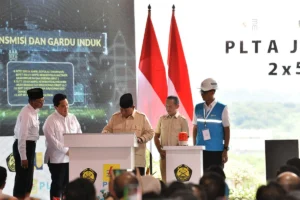 Prabowo Targetkan PLTS 17 Gigawatt Tahun Ini, Dorong Percepatan Energi Bersih Nasional