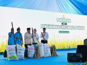 Swasembada Pangan Terbukti: Bulog Kehabisan Gudang, Dony Oskaria Ungkap Keberhasilan Presiden Prabowo