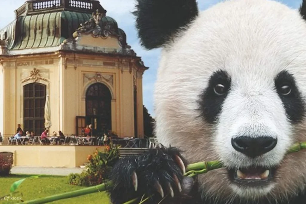 Beruang Istana Schönbrunn: Cerita Menarik Hewan Paling Ikonik di Kebun Binatang Tertua Dunia