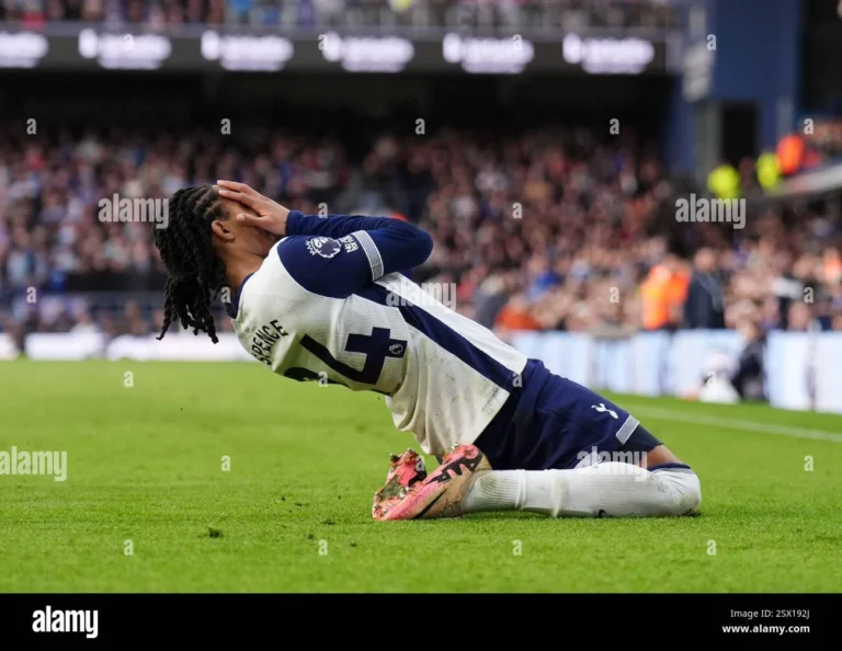 Djed Spence Bawa Tottenham Selamat dari Batas Bawah Premier League