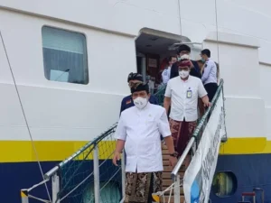 Hantavirus Mematikan di Kapal Pesiar MV Hondius: Tiga Korban Meninggal, WHO Gelar Investigasi Intensif
