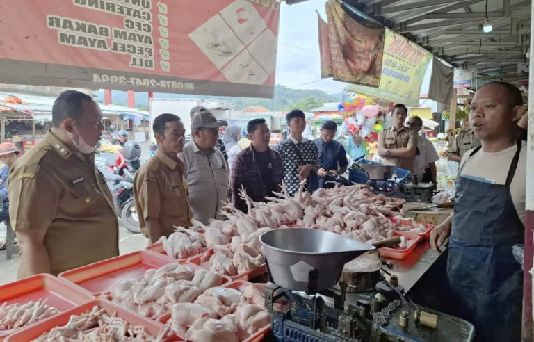 Harga Daging Ayam Organik Melonjak, Tapi Ini 6 Alasan Mengapa Bisnisnya Menggiurkan