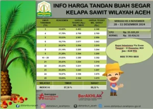 Harga TBS Kelapa Sawit Turun Tajam, Pemerintah dan DSI Luncurkan Kebijakan Stabilitas Pasar