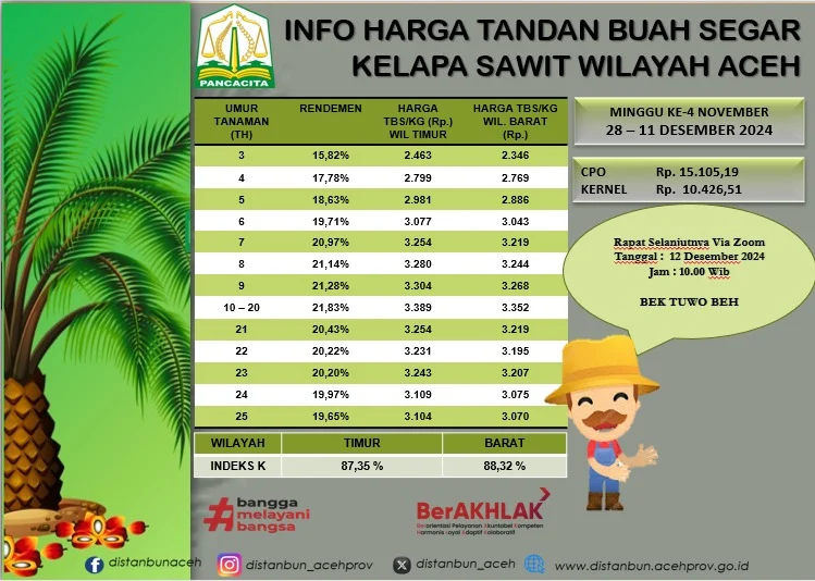 Harga TBS Kelapa Sawit Turun Tajam, Pemerintah dan DSI Luncurkan Kebijakan Stabilitas Pasar