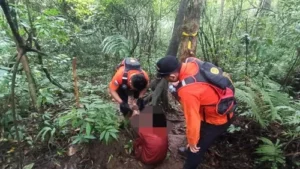 Jejak Duka di Atas Gunung Batukaru: Evakuasi Dramatis Pendaki Lansia