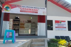 Koperasi Merah Putih di Semarang Hadapi Kelangkaan Minyak Goreng Bersubsidi