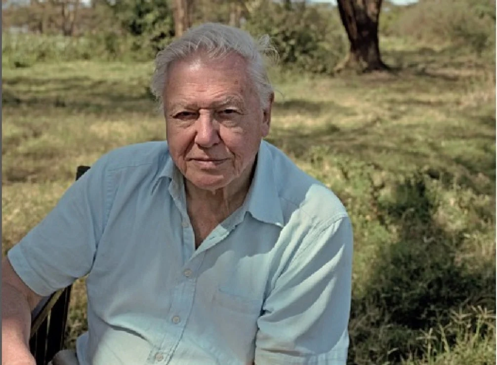 Sir David Attenborough Rayakan Ulang Tahun ke-100 dengan Dokumenter Baru