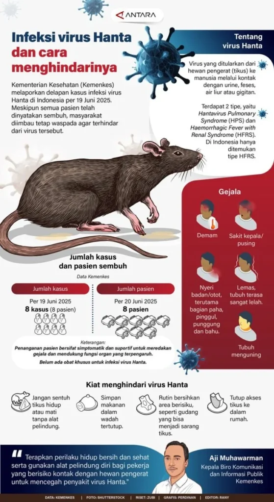 Virus Hanta: Mengenal Penyakit Langka yang Bisa Mengancam Nyawa