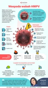 Wabah Hantavirus di Kapal Pesiar MV Hondius: Ancaman Global dan Langkah Pencegahan