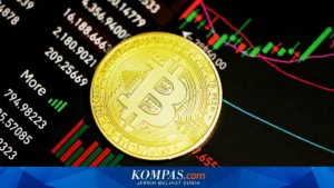 Bitcoin crash: Harga Turun 50% dan Apa yang Harus Dilakukan Investor?