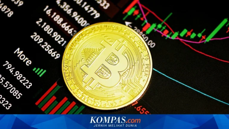 Bitcoin crash: Harga Turun 50% dan Apa yang Harus Dilakukan Investor?