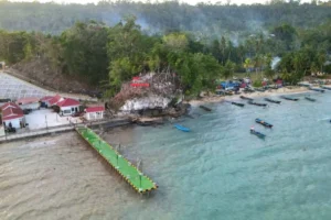 Komcad Indonesia Siapkan 35.476 Calon Manajer Kopdes dan Kampung Nelayan, Sementara Kontroversi Penempatan dalam Demonstrasi Meningkat